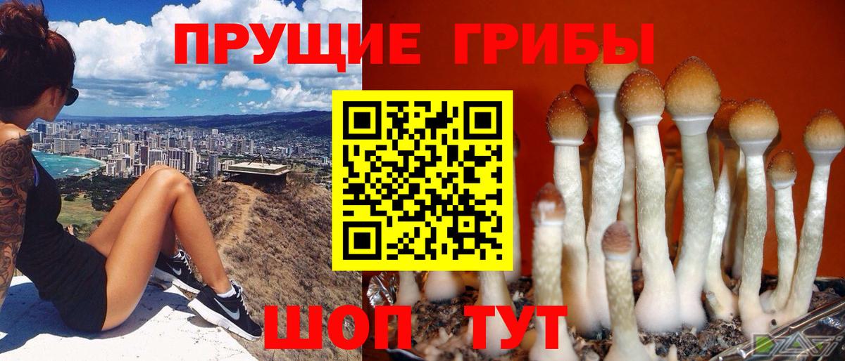 Галлюциногенные грибы мицелий  Галлюциногенные грибы ЛСД  Вход с VPN  Соликамск 